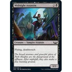 Midnight Assassin